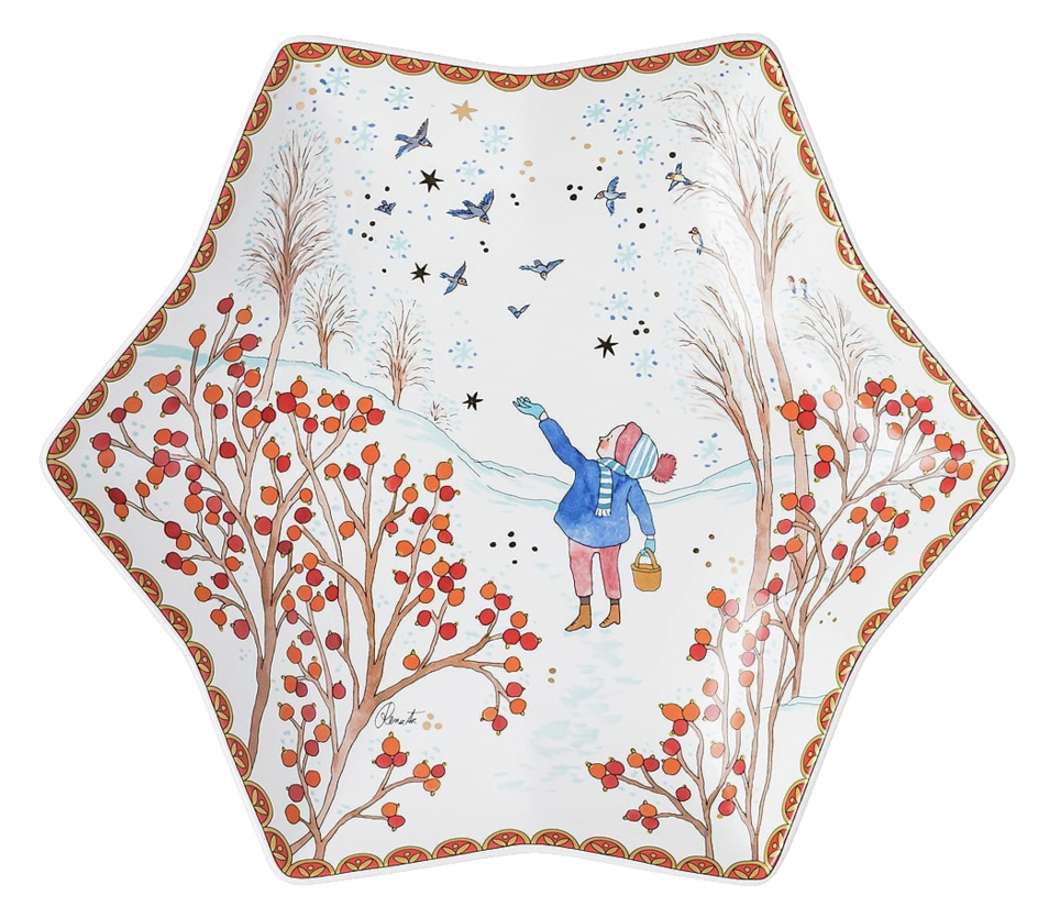 Hutschenreuther Sammelkollektion 2021 Weihnachtsgaben: Sternschale 24 cm